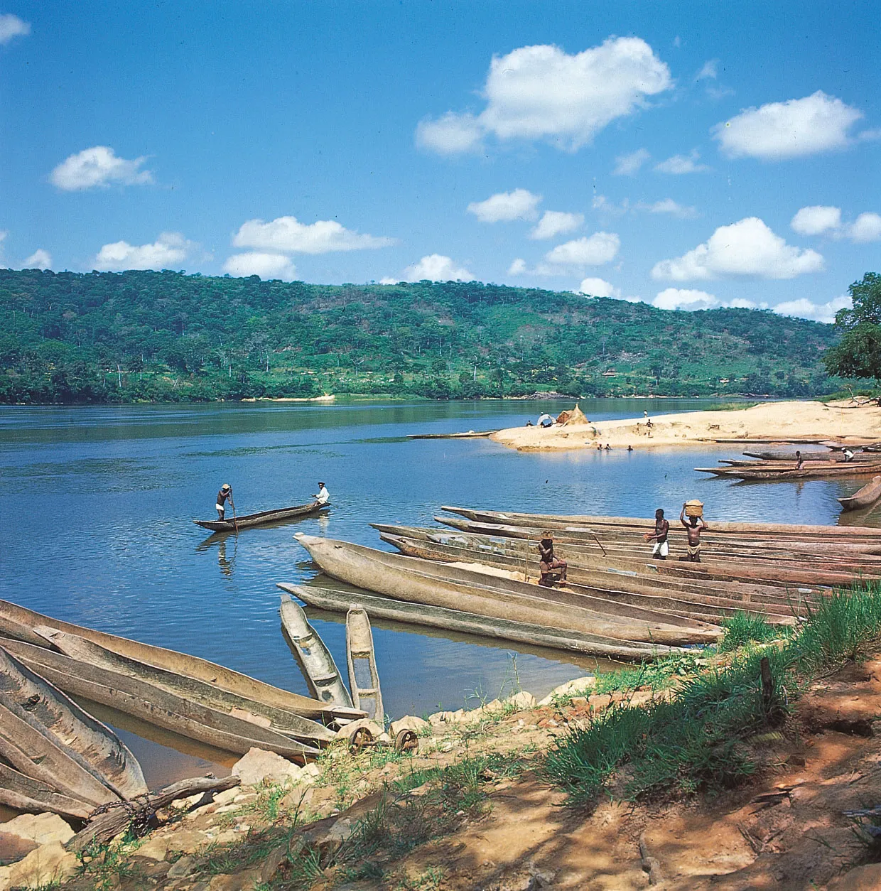 Chari–Logone river system in Chad